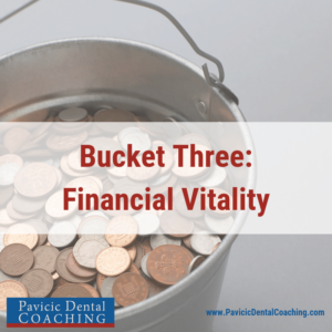 the financial vitality bucket organizes additional expenses